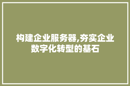 构建企业服务器,夯实企业数字化转型的基石 构建企业服务器,夯实企业数字化转型的基石 SEO关键词