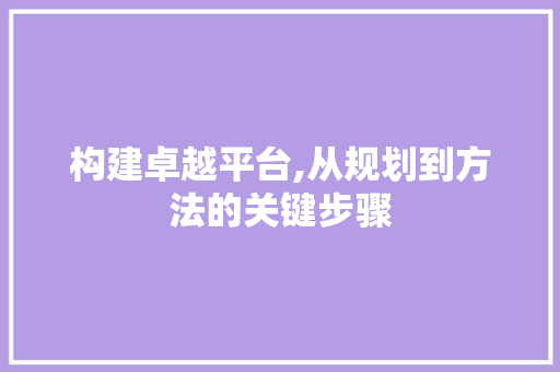 构建卓越平台,从规划到方法的关键步骤