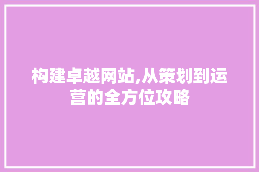 构建卓越网站,从策划到运营的全方位攻略
