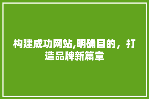 构建成功网站,明确目的，打造品牌新篇章
