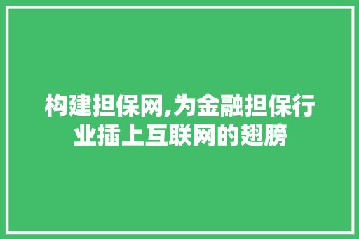 构建担保网,为金融担保行业插上互联网的翅膀 构建担保网,为金融担保行业插上互联网的翅膀 网站建设公司
