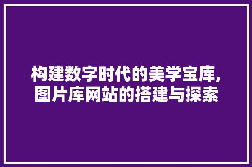 构建数字时代的美学宝库,图片库网站的搭建与探索