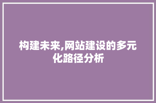 构建未来,网站建设的多元化路径分析