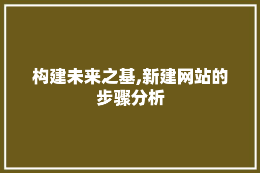 构建未来之基,新建网站的步骤分析