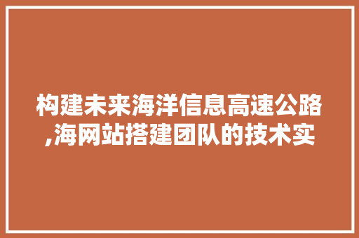 构建未来海洋信息高速公路,海网站搭建团队的技术实力与创新之路