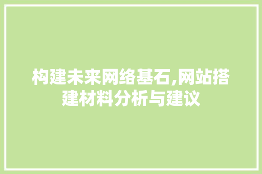 构建未来网络基石,网站搭建材料分析与建议