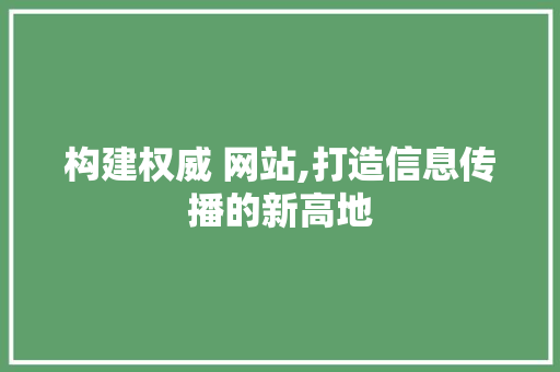 构建权威 网站,打造信息传播的新高地
