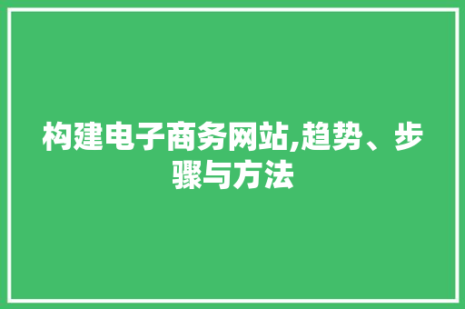 构建电子商务网站,趋势、步骤与方法