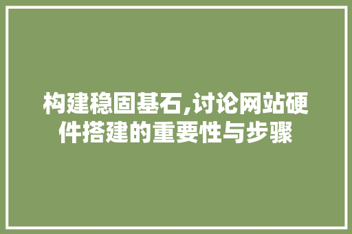 构建稳固基石,讨论网站硬件搭建的重要性与步骤