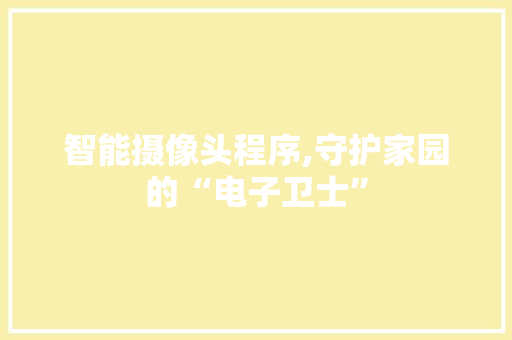 智能摄像头程序,守护家园的“电子卫士”