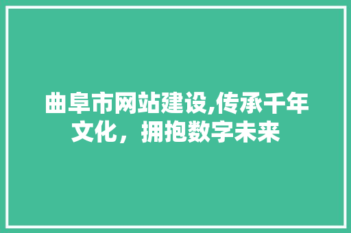 曲阜市网站建设,传承千年文化，拥抱数字未来