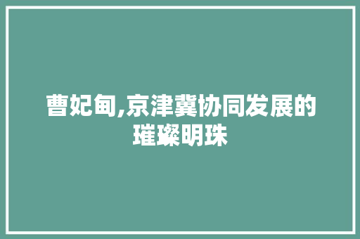 曹妃甸,京津冀协同发展的璀璨明珠 曹妃甸,京津冀协同发展的璀璨明珠 SEO关键词