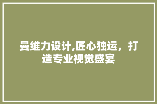 曼维力设计,匠心独运，打造专业视觉盛宴