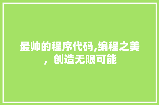 最帅的程序代码,编程之美，创造无限可能