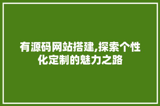 有源码网站搭建,探索个性化定制的魅力之路