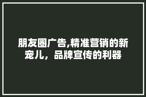 朋友圈广告,精准营销的新宠儿，品牌宣传的利器 朋友圈广告,精准营销的新宠儿，品牌宣传的利器 必应SEO