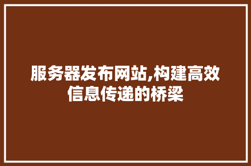 服务器发布网站,构建高效信息传递的桥梁