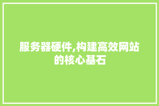服务器硬件,构建高效网站的核心基石