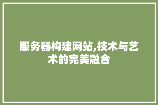 服务器构建网站,技术与艺术的完美融合