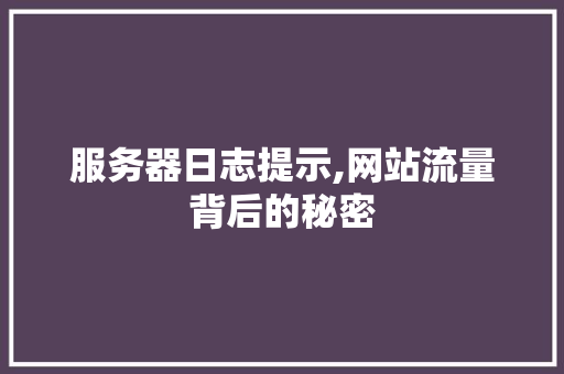 服务器日志提示,网站流量背后的秘密