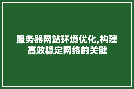 服务器网站环境优化,构建高效稳定网络的关键 服务器网站环境优化,构建高效稳定网络的关键 网站建设公司