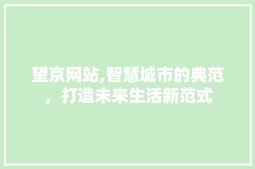 望京网站,智慧城市的典范，打造未来生活新范式