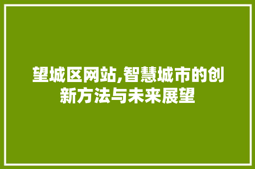 望城区网站,智慧城市的创新方法与未来展望