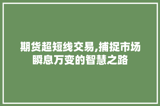 期货超短线交易,捕捉市场瞬息万变的智慧之路