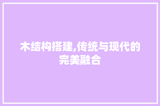 木结构搭建,传统与现代的完美融合