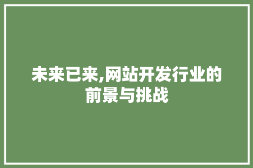 未来已来,网站开发行业的前景与挑战