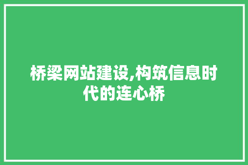 桥梁网站建设,构筑信息时代的连心桥