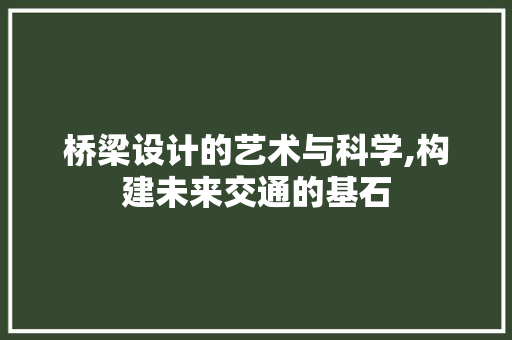 桥梁设计的艺术与科学,构建未来交通的基石