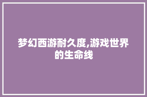 梦幻西游耐久度,游戏世界的生命线