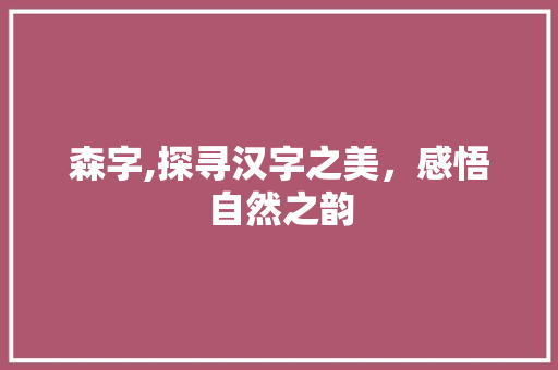 森字,探寻汉字之美，感悟自然之韵