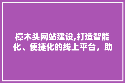 樟木头网站建设,打造智能化、便捷化的线上平台，助力产业升级
