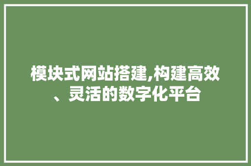 模块式网站搭建,构建高效、灵活的数字化平台
