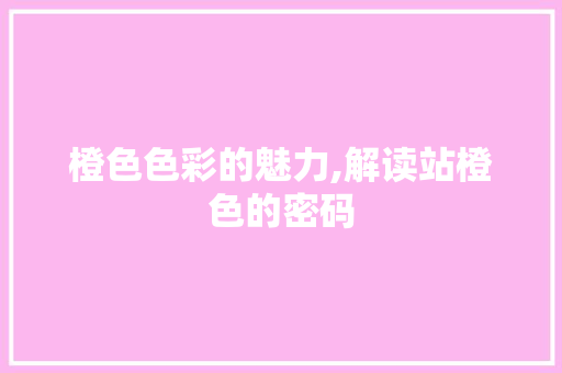 橙色色彩的魅力,解读站橙色的密码