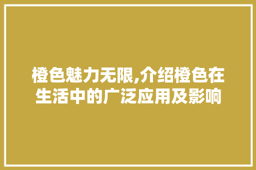 橙色魅力无限,介绍橙色在生活中的广泛应用及影响