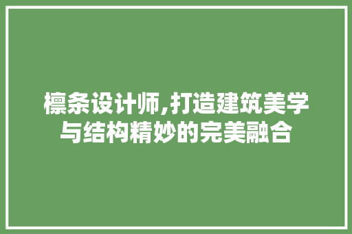 檩条设计师,打造建筑美学与结构精妙的完美融合