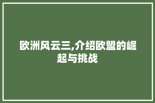 欧洲风云三,介绍欧盟的崛起与挑战