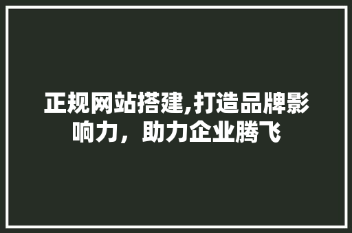 正规网站搭建,打造品牌影响力，助力企业腾飞 正规网站搭建,打造品牌影响力，助力企业腾飞 SEO关键词