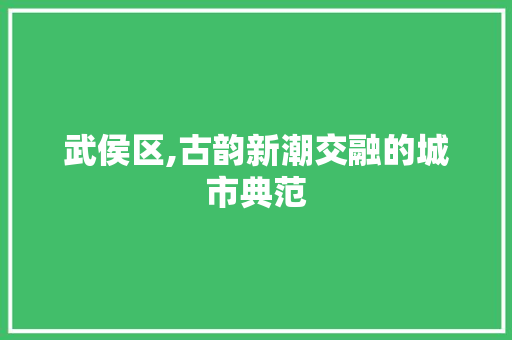 武侯区,古韵新潮交融的城市典范