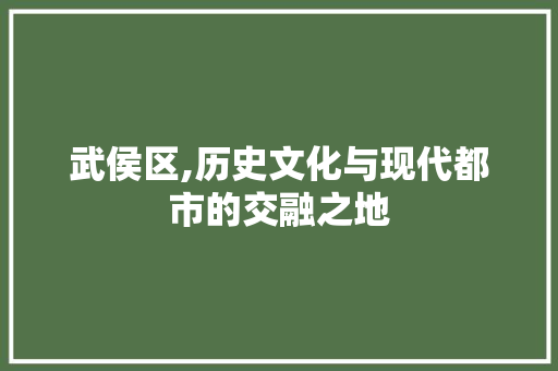 武侯区,历史文化与现代都市的交融之地