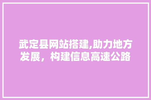 武定县网站搭建,助力地方发展，构建信息高速公路 武定县网站搭建,助力地方发展，构建信息高速公路 神马SEO