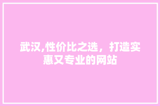 武汉,性价比之选，打造实惠又专业的网站