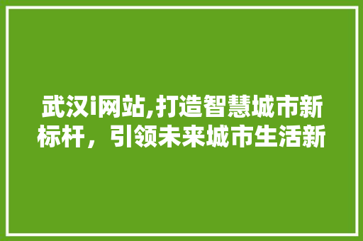武汉i网站,打造智慧城市新标杆，引领未来城市生活新潮流