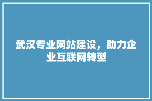 武汉专业网站建设，助力企业互联网转型 武汉专业网站建设，助力企业互联网转型 神马SEO