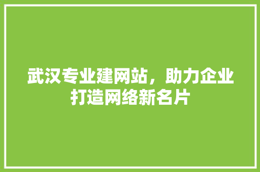 武汉专业建网站，助力企业打造网络新名片 武汉专业建网站，助力企业打造网络新名片 搜狗SEO