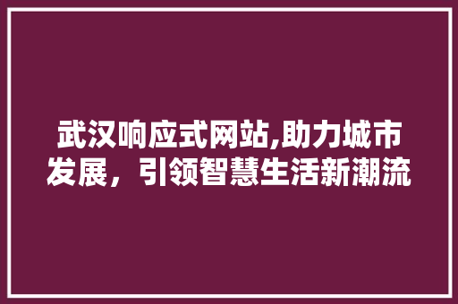 武汉响应式网站,助力城市发展，引领智慧生活新潮流