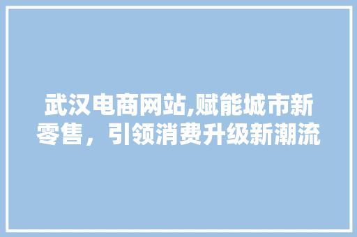 武汉电商网站,赋能城市新零售，引领消费升级新潮流